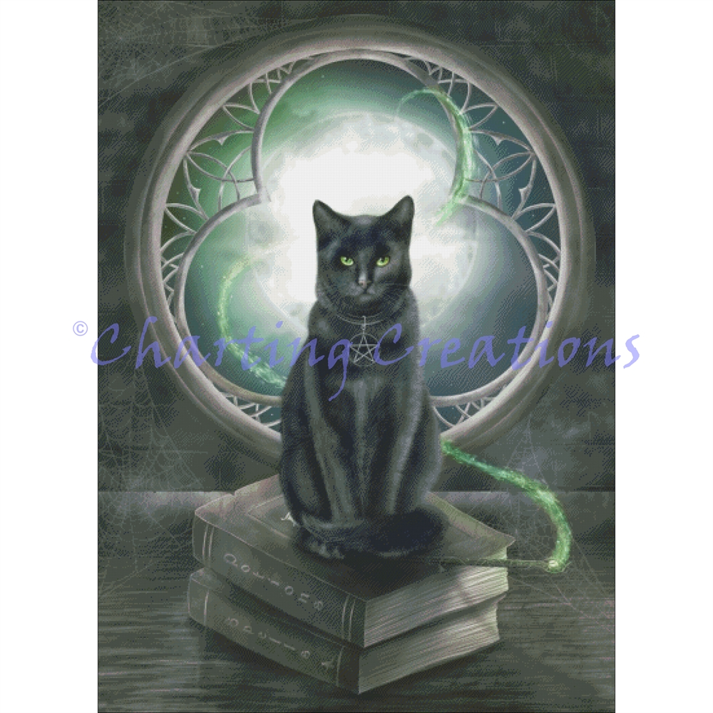 A Familiar Cat